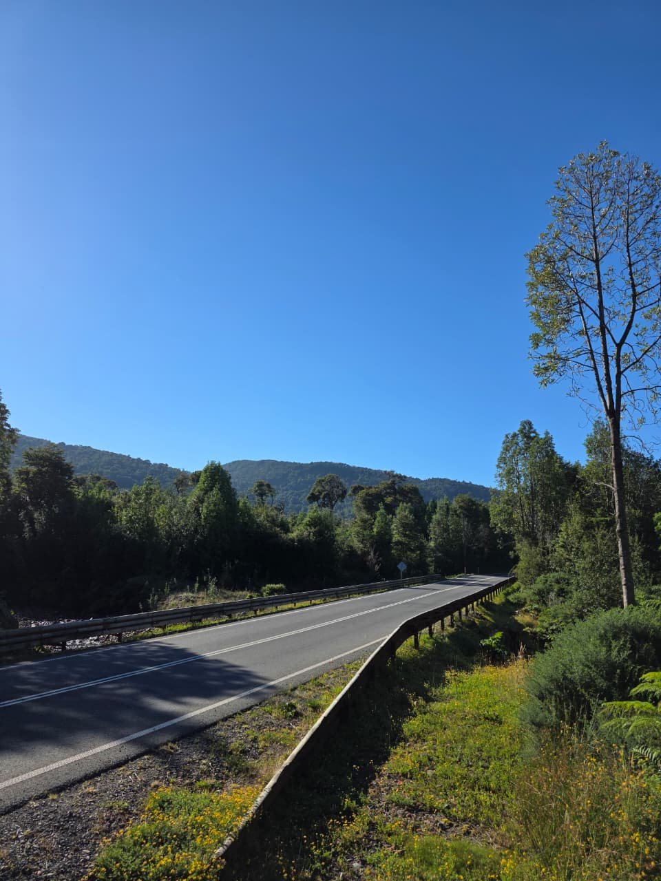Ruta de acceso