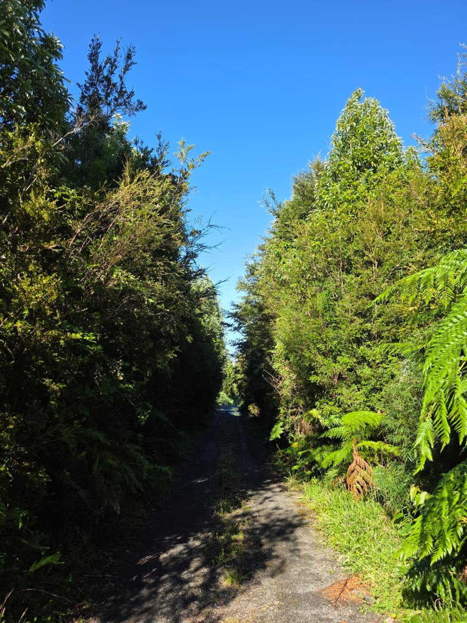 Camino interior