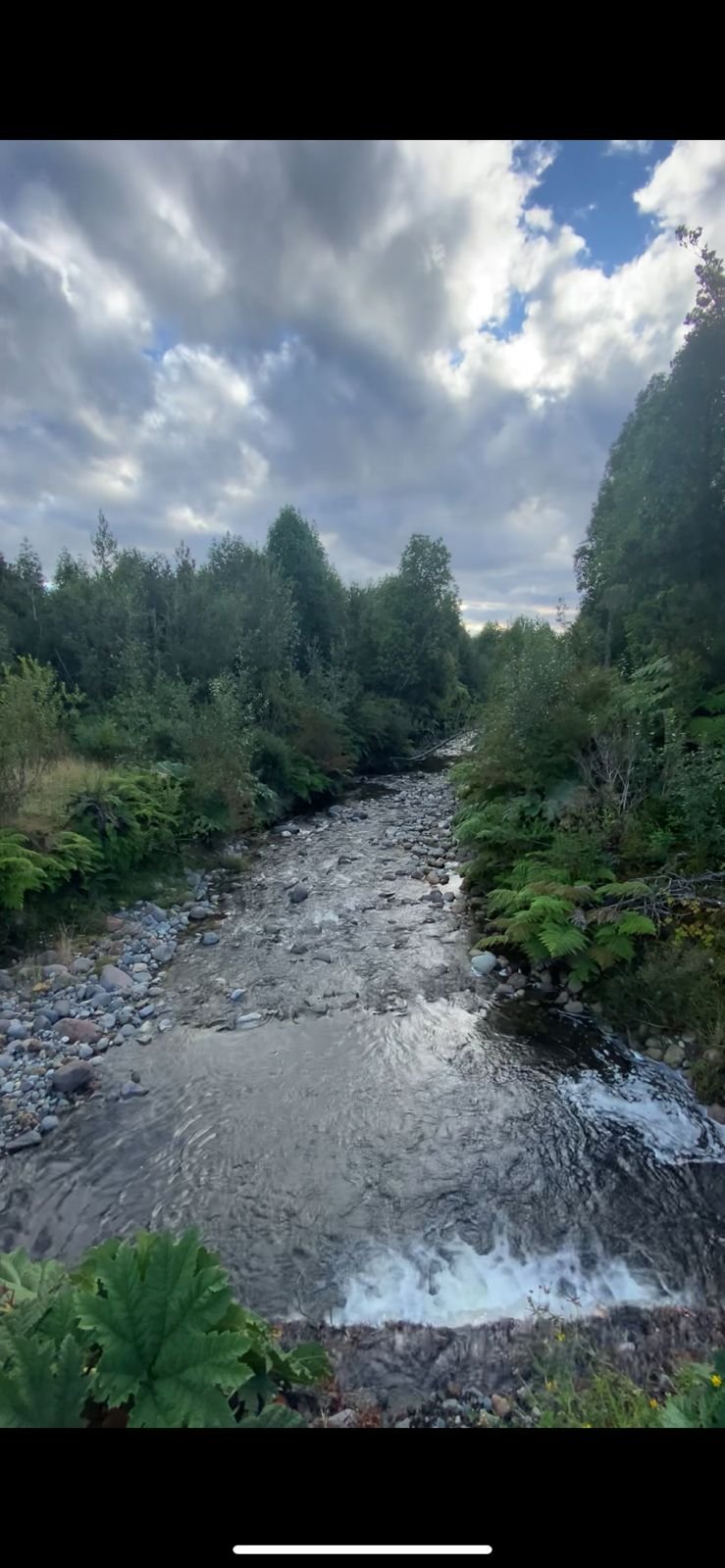 Río dentro del predio