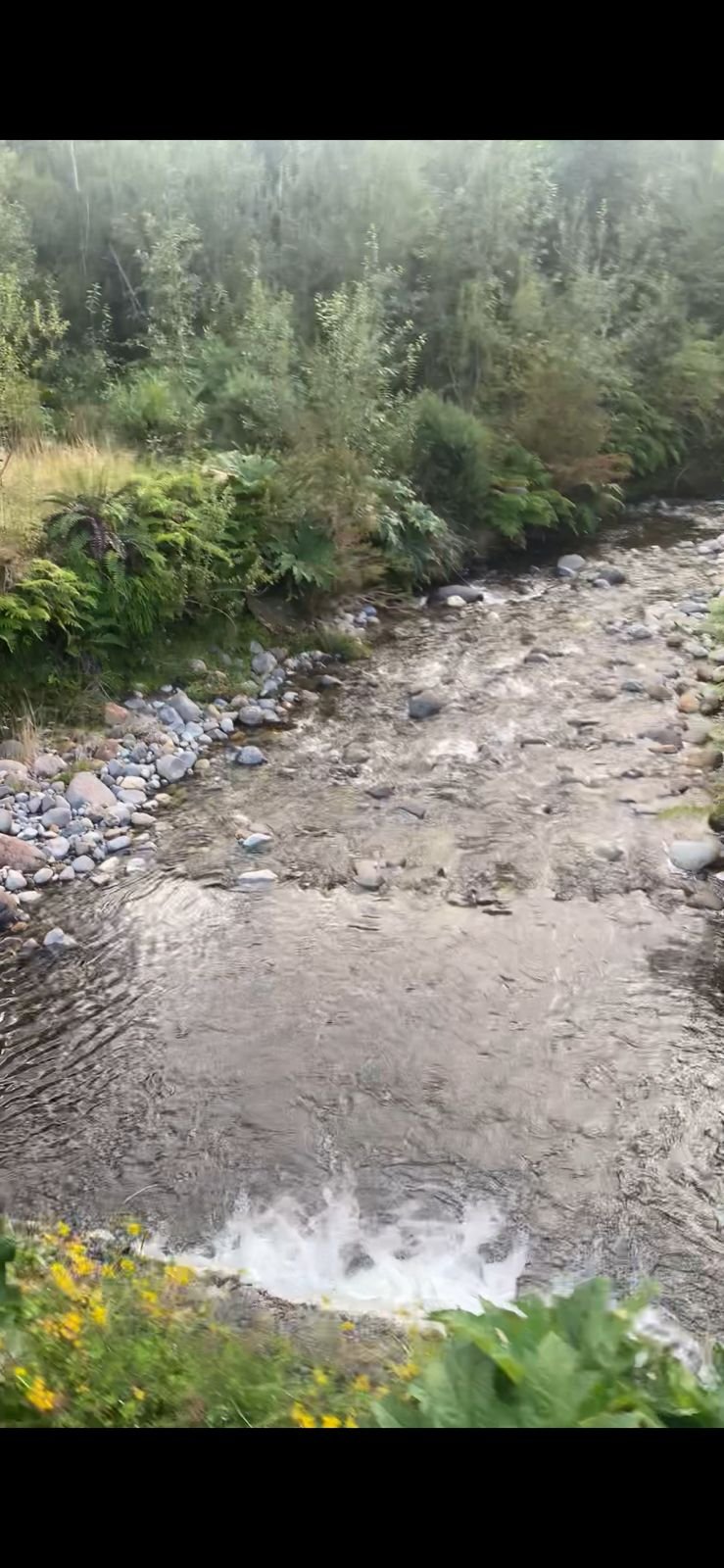 Estero Quildaco